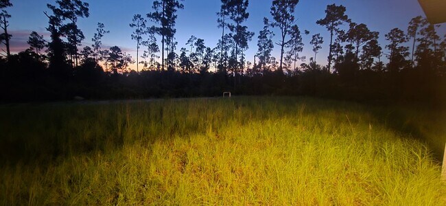 Building Photo - Brand New, 2/2/1 Single Family Home-Great ...