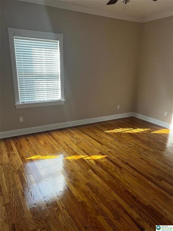 Building Photo - 59 Carousel Ln