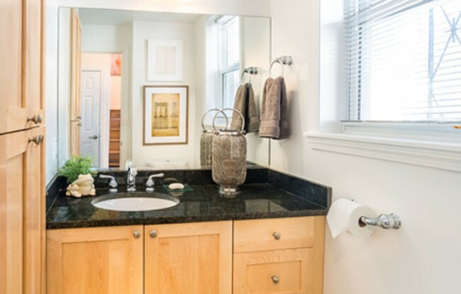 Building Photo - Luxury Brookline 1 Bed