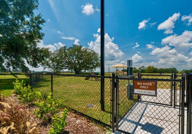 Building Photo - Gorgeous 4/ 2.5 Home in the Beautiful Lake Asbury Area of Clay County! $2,550.00