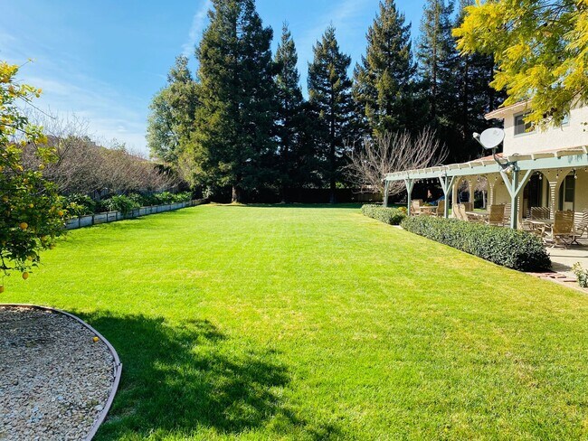 Building Photo - Extraordinary home with expansive yard on a flag lot in Mountain View.  Great Location and Schools.