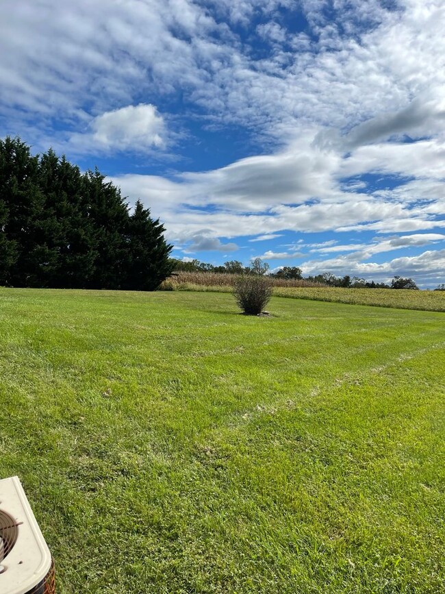 Building Photo - COMING SOON - Country Setting located betw...