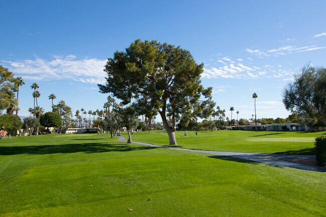 Your 18 Hole Golf Course - 501 Desert Lakes Cir