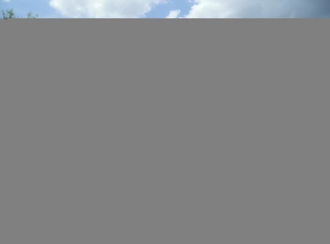 Building Photo - 3182 Laurel Ridge Cir