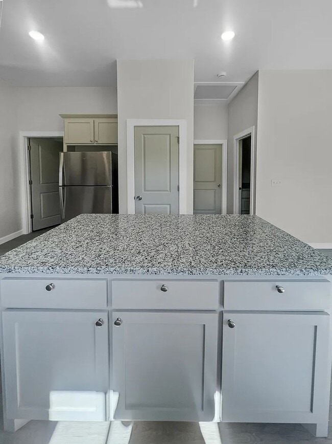 Building Photo - Stunning BRAND NEW 3 Bed, 2 Bath Home for ...