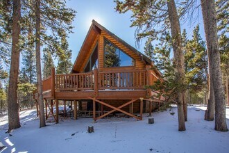 Building Photo - Stunning Fairplay Cabin available now for ...