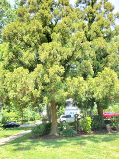 Building Photo - 100 Huguenot Ave