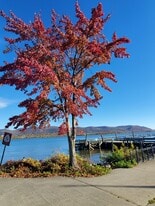 Building Photo - 177 W Parmenter St