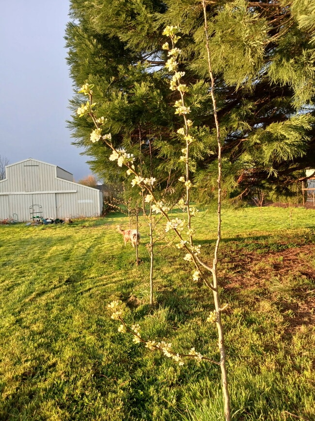 Building Photo - Farm House A