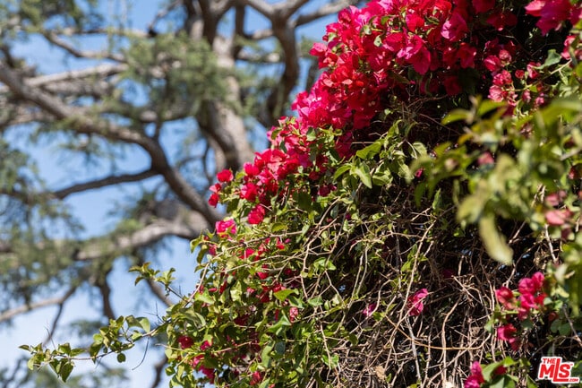 Building Photo - 741 N Dillon St