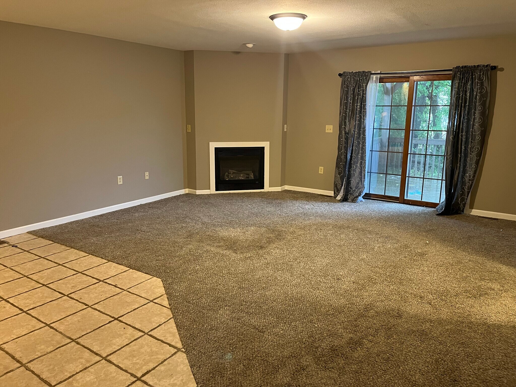Gas fireplace - 114 N Third St
