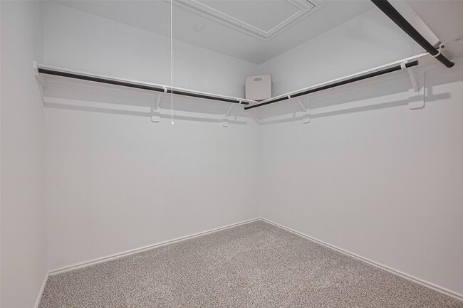 Building Photo - 4207 Zeke Ests Ln