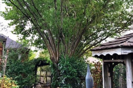 peaceful back yard - 942 Russell St