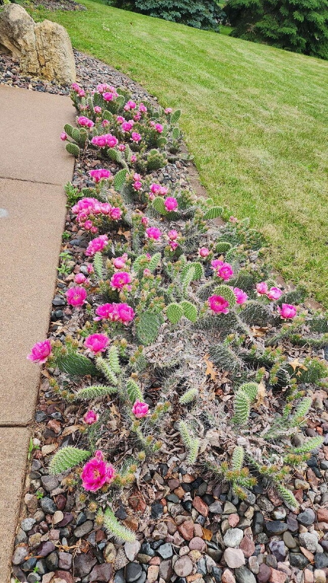 Building Photo - Spacious 4-Bedroom Home with Bonus Room, 3-Season Porch & Private Backyard