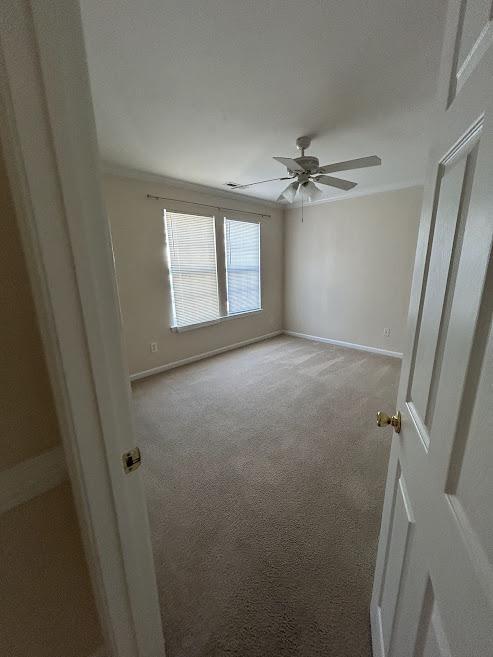 Building Photo - 508 Amber Jack Dr
