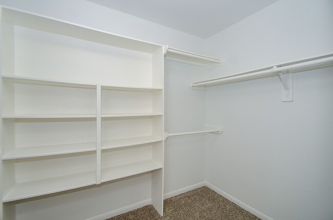 Building Photo - 5910 Llano Creek Dr