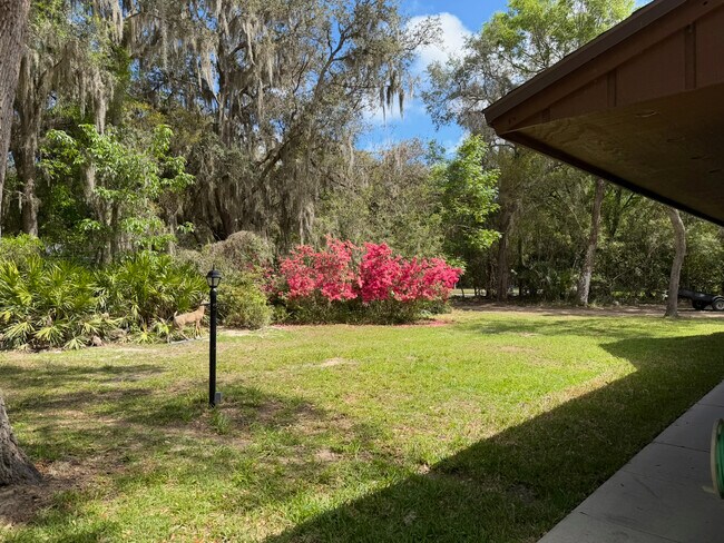 Building Photo - 3660 Crazy Horse Trail