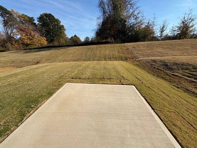 Building Photo - 4 br 3.5 ba NEW CONSTRUCTION in China Grove!