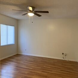Building Photo - Colony Pine