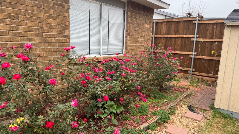 Building Photo - 230 Green Canyon Dr