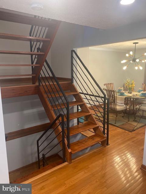 Building Photo - 7 Capland Ct