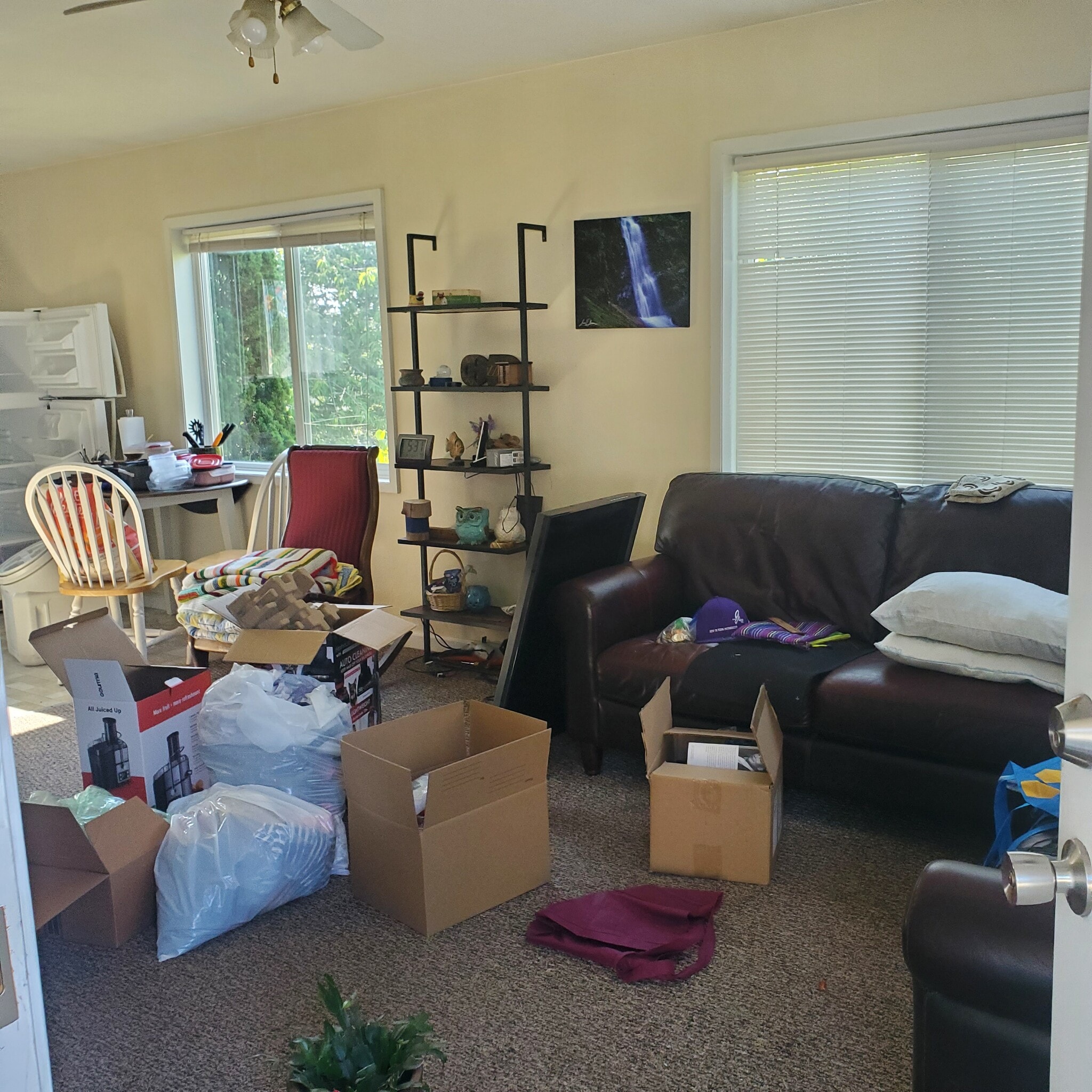 livingroom - 187 Ogle Ave