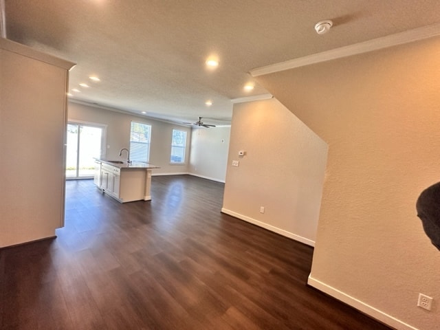 Building Photo - 307 Sikeston Ln