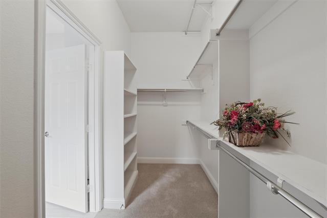 Building Photo - 231 Pine Valley Ct