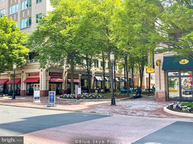 Building Photo - 1781 Jonathan Way