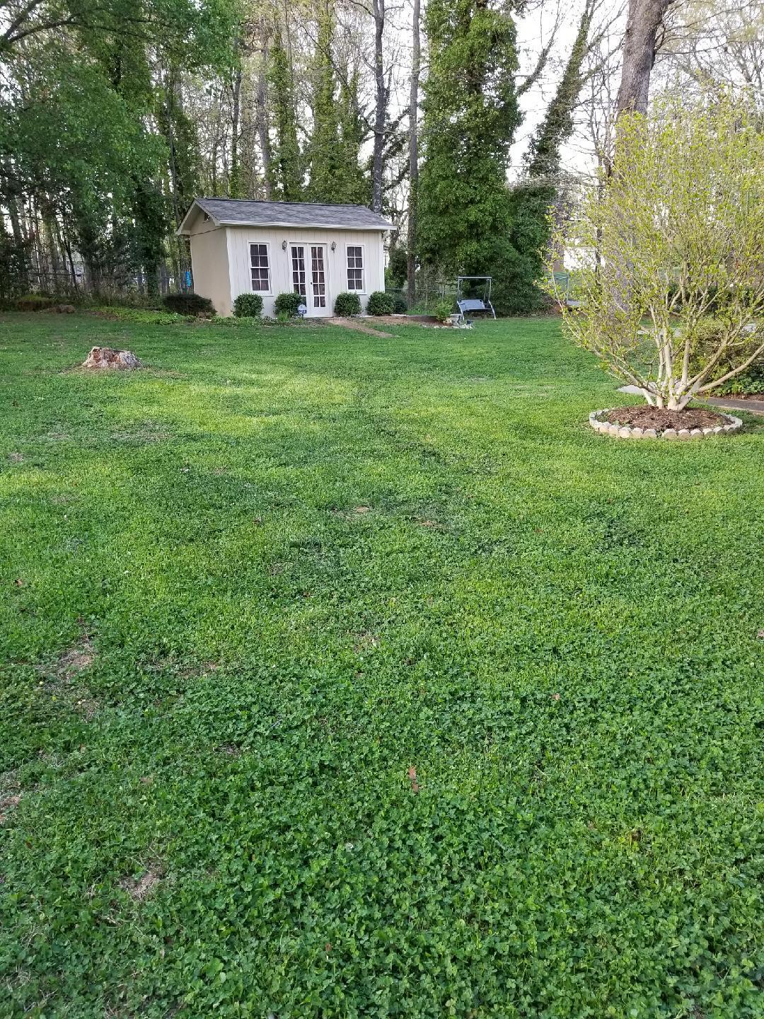 Yard in the Spring time - 2781 19th Ave NE
