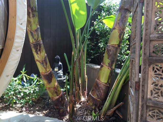 Building Photo - 224 Cll De Madrid