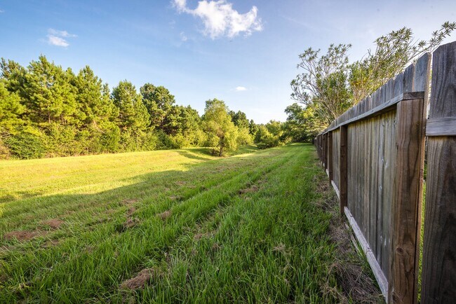 Building Photo - 3231 Pedernales Trails Ln