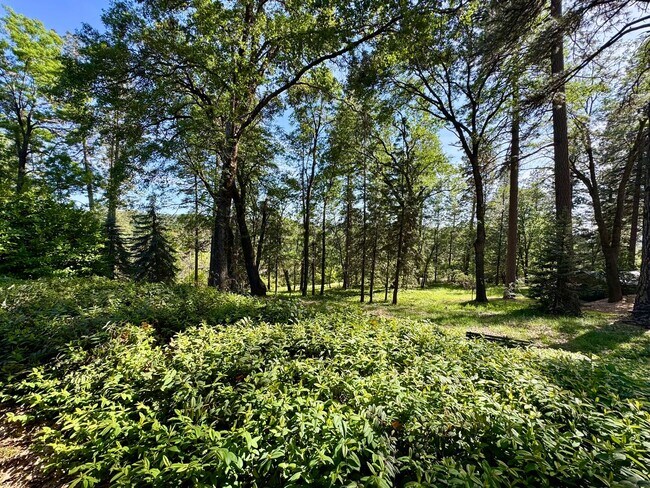 Building Photo - 4-bed 3-bath home in Nevada City!