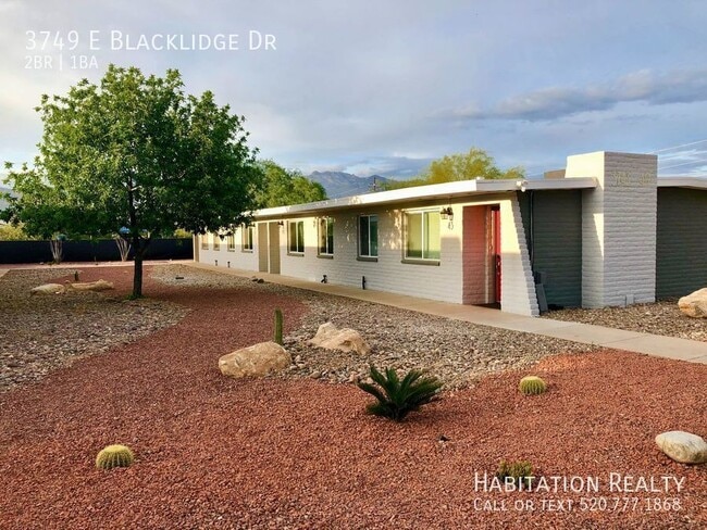 Building Photo - 3749 E Blacklidge Dr