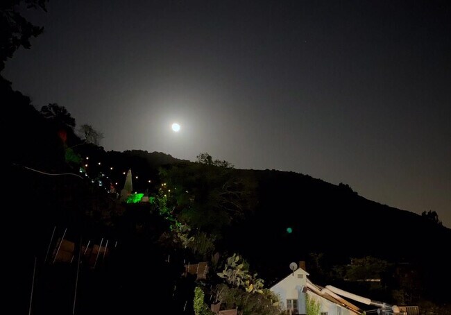 Building Photo - 10001 Westwanda Dr