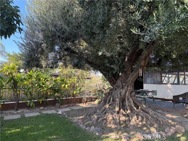 Building Photo - 3590 Buchanan St