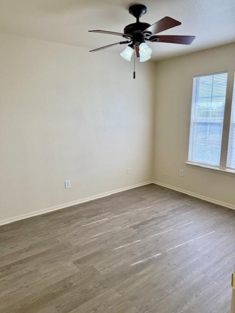 Building Photo - 11910 Tanglebriar Trail