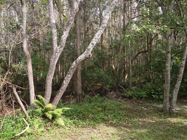 Building Photo - 13503 Ironton Dr