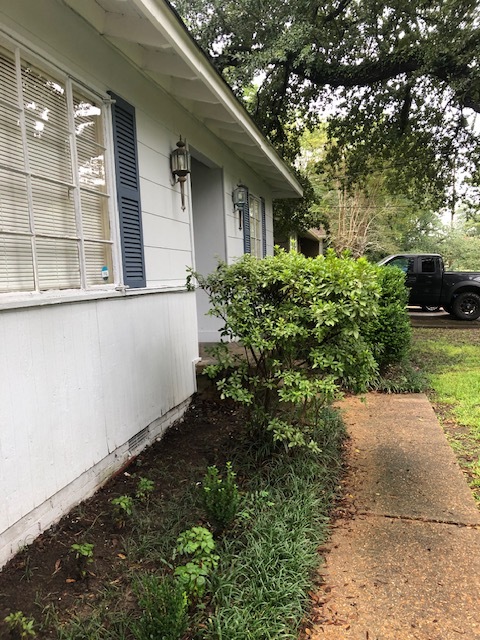 Sidewalk to front door - 1435 Wilhurst St