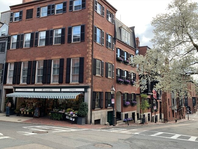 Building Photo - 105 Pinckney St