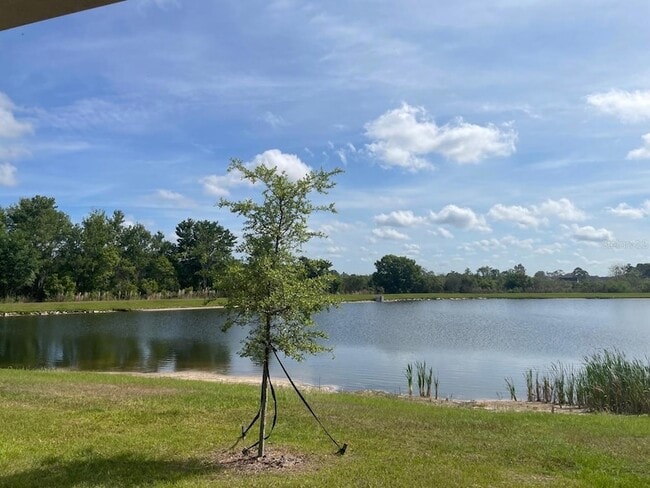 Building Photo - 9766 Campanula Ct