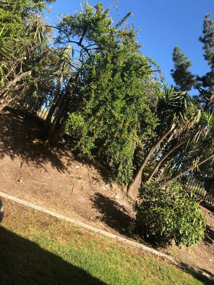 Building Photo - 14247 Seabridge Ln