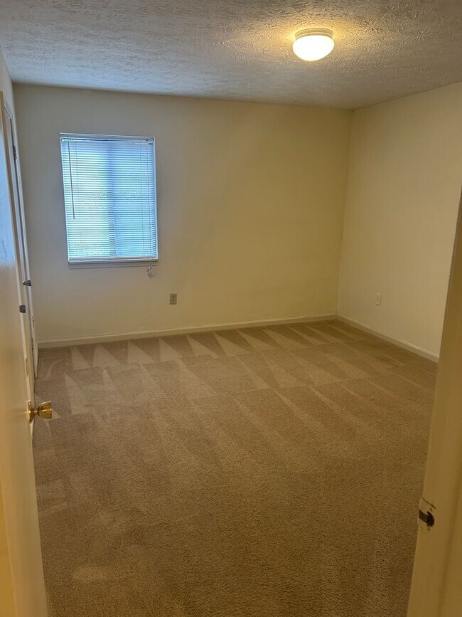 Building Photo - Campus View Apt-Walking Distance to UGA!