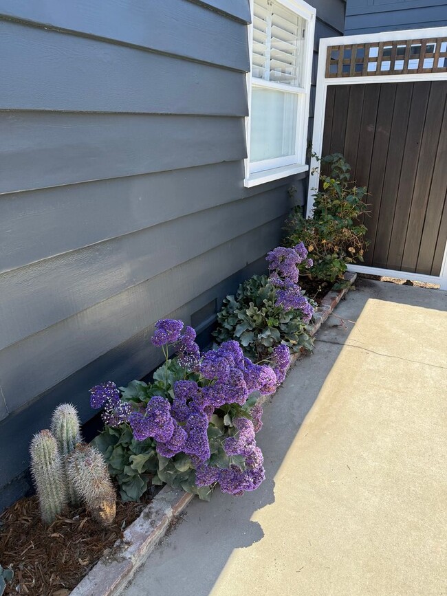 Building Photo - Spacious Silver Lake Charmer 2-bedroom, 1-...