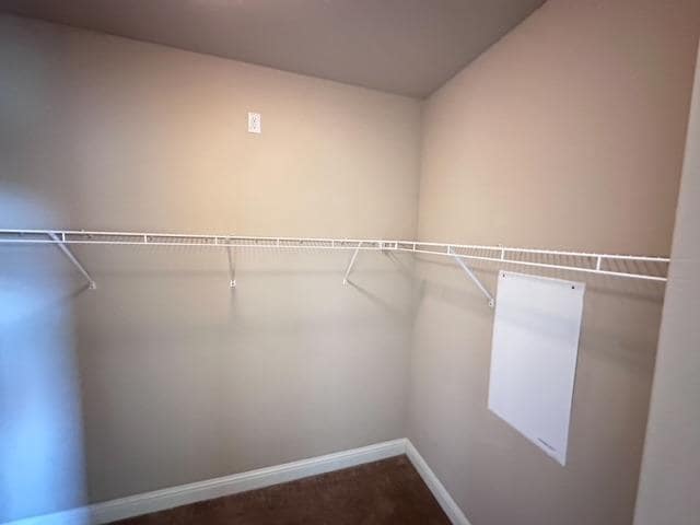 Building Photo - 4203 Chesa Ln