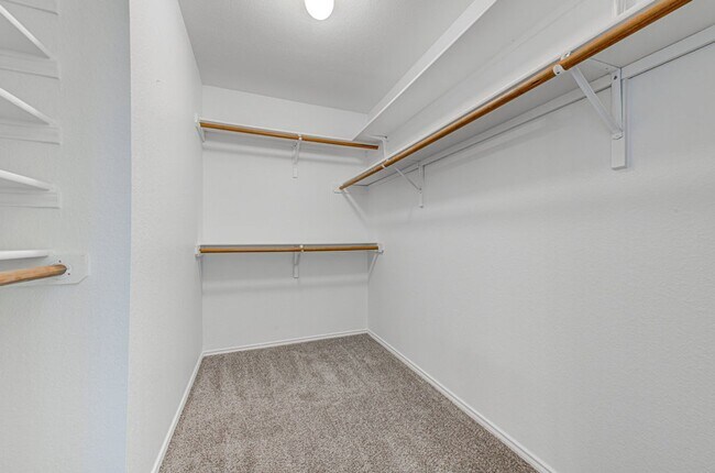 Building Photo - Gorgeous House in Sendera with 4 Bedrooms ...