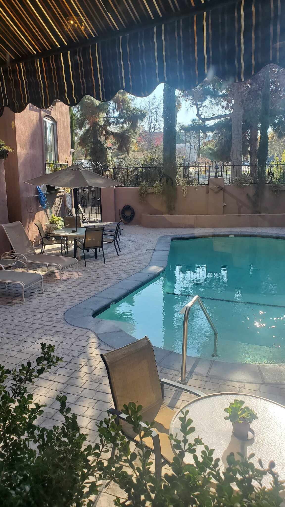 pool - 4200 Laurel Canyon Blvd