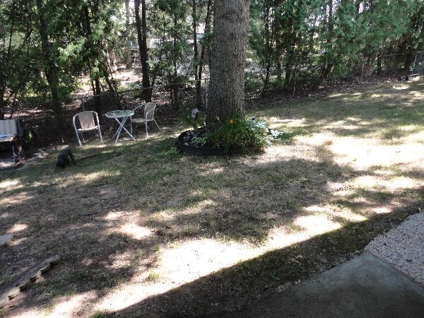 Back Yard Area - 321 Laporte Ct