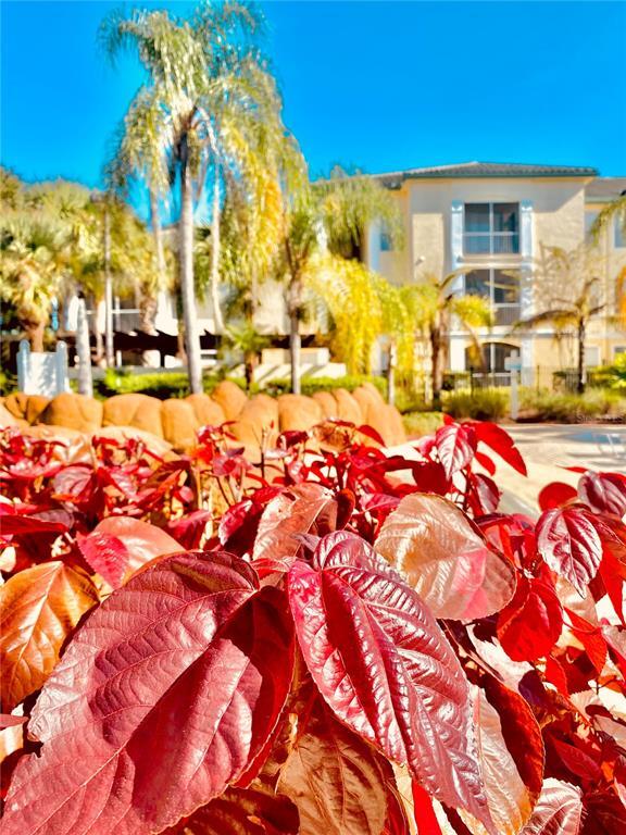 Building Photo - 8813 Dunes Ct