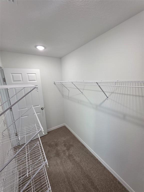 Building Photo - 3723 King Hill Dr